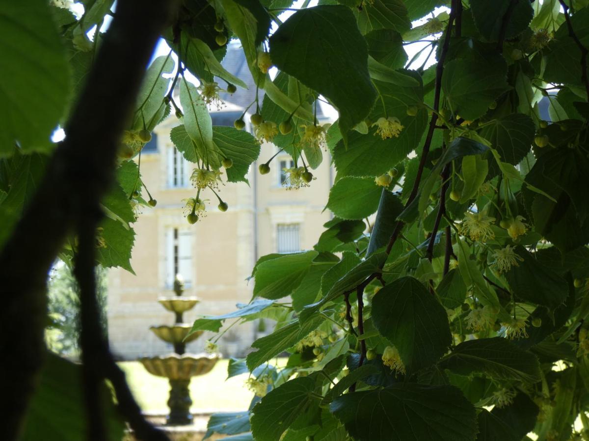 Chateau Marith - Etablissement Climatise Avec Piscine Hotel Clairac  Екстериор снимка