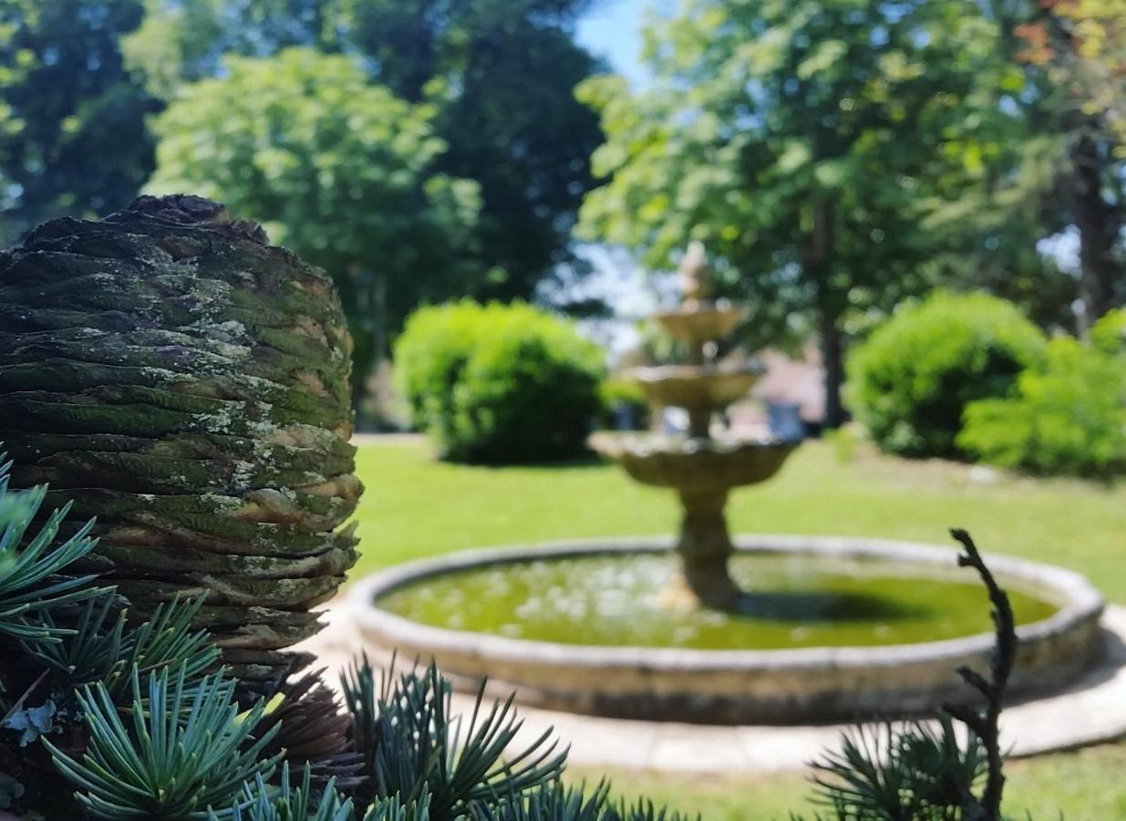 Chateau Marith - Etablissement Climatise Avec Piscine Hotel Clairac  Екстериор снимка